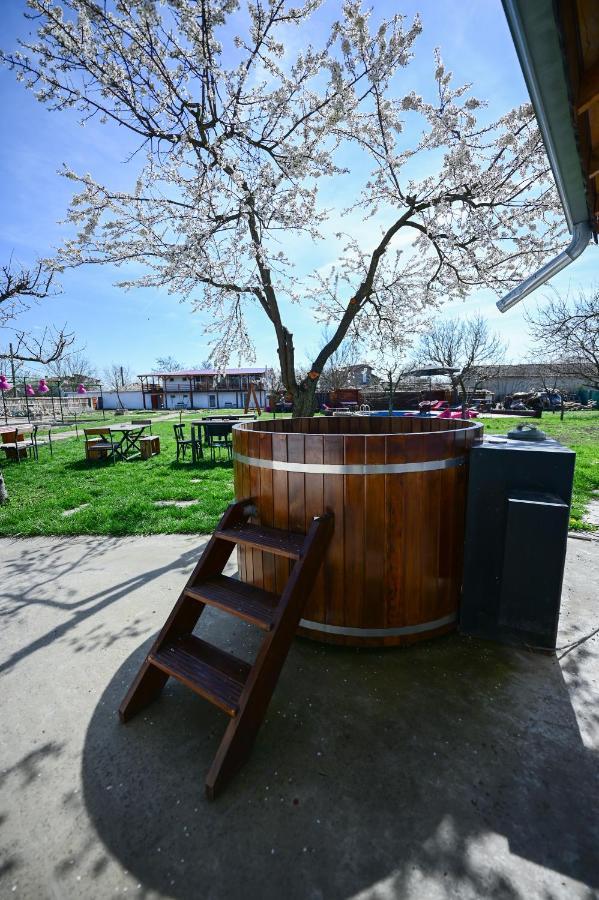 Guest House Bulgarka Dibich Luaran gambar